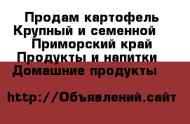 Продам картофель.Крупный и семенной. - Приморский край Продукты и напитки » Домашние продукты   